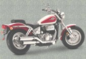 1998 Suzuki VZ 800 Marauder photo